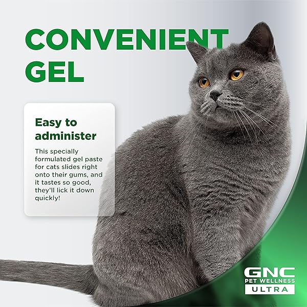 GNC PETS ULTRA MULTIVITAMIN GEL/PASTE, CATS, SALMON FLAVOR, 3.5-OZ TUBE | MULTIVITAMIN SUPPLEMENT GEL FOR CATS SALMON FLAVOR | CAT DAILY SUPPLEMENT SALMON FLAVOR FF14379