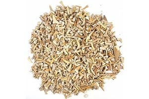 Heyiwell Imperfect Flawed Bulk Shark Tooth Fossil 1OZ (Apprx 65PC+) Real Fossil Shark Teeth 0.5"~ 1.25" Inch