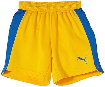puma evospeed shorts