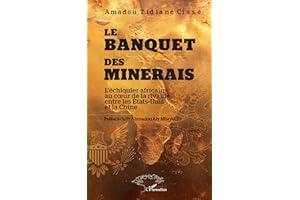 Le banquet des minerais: L’échiquier africain au cœur de la rivalité entre les États-Unis et la Chine