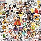 306pcs Funny Meme Vinyl Stickers Pack, Large Bulk