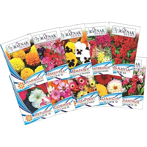 Top 25 Best Annual Flower Seeds