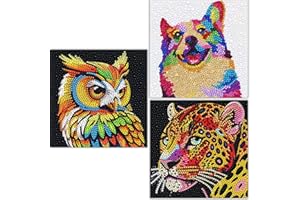 AyuqEjus Diamond Art Kits for Kids,4 Pack Diamond Art for Kids, Arts & Crafts for Kids Ages 8-12,Gem Art Painting 6" X 6" (4-cat-01)