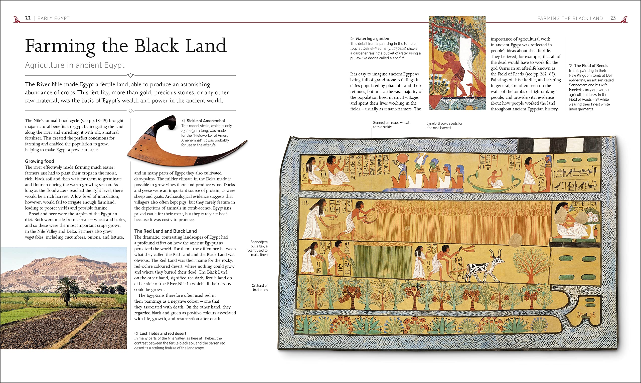 Ancient Egypt: The Definitive Visual History (DK Classic History) Ancient Egypt: The Definitive Visual History (DK Classic History) Hardcover Kindle