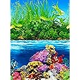ELEBOX Fish Backgrounds Paper Double Sides Aquarium Background Picture, Colorful Fish Tank Background 16"x 40"