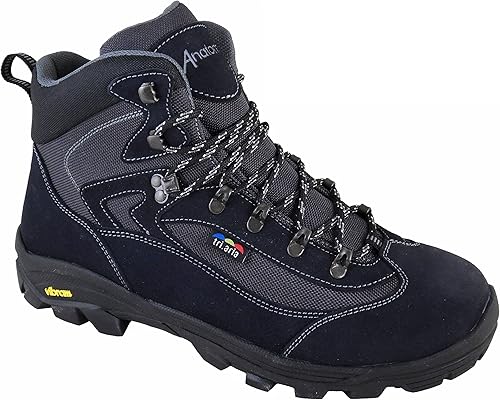 Anatom v2 vorlich Clearance