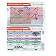 EKG STEMI Analysis Badge Card for Rapid Interpretation – Compatible for Both Horizontal & Vertical Layout
