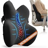 Everlasting Comfort Lumbar Support Pillow for Office Chair - Memory Foam Back Cushion for Car Seat - Promotes Better Posture, Back Pain Relief - Ideal Gaming and Desk Chairs Work and Home Essentials