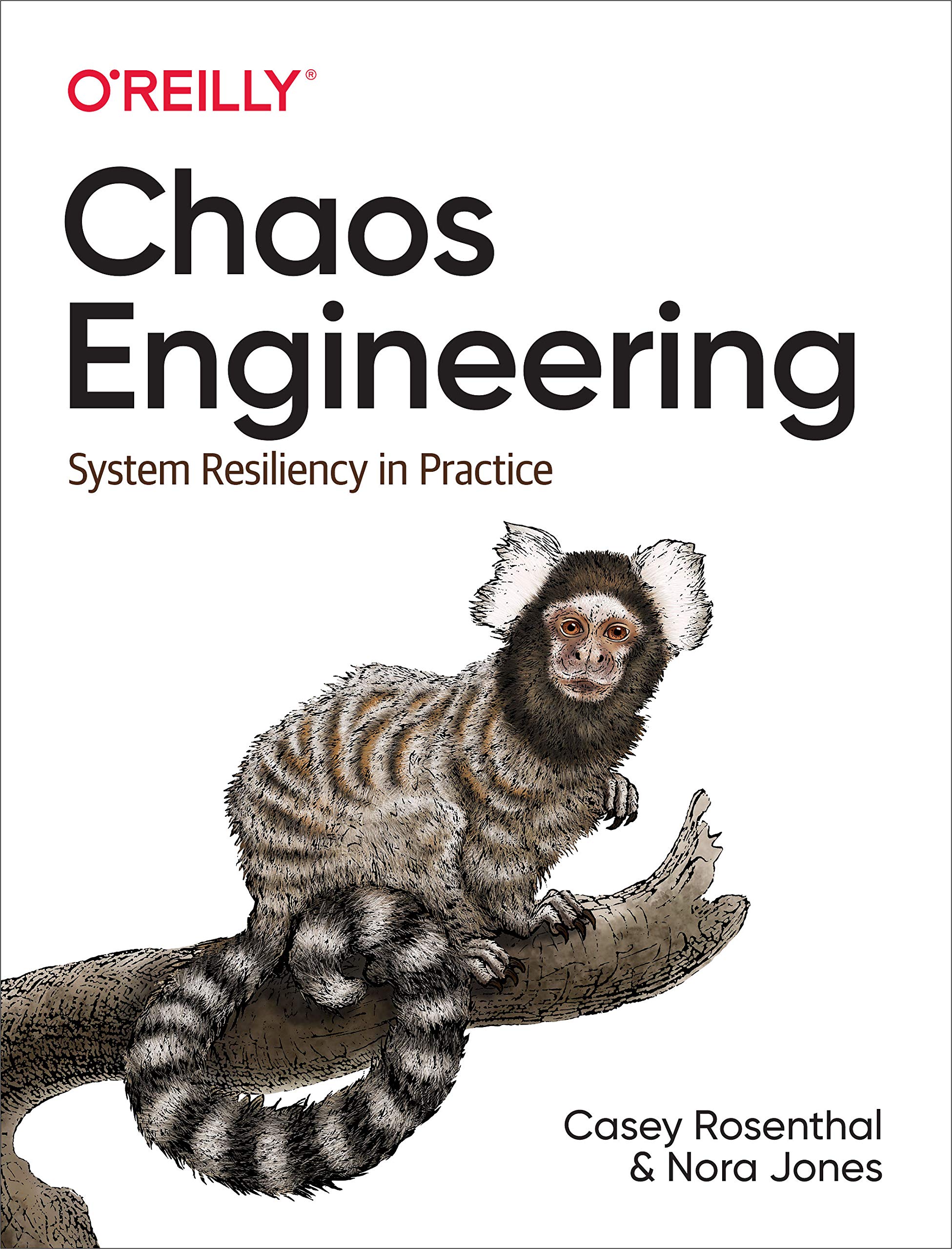 Chaos Engineering: System Resiliency in Practice
