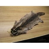 Tanned Raccoon Hide #2 Quality Fur Coats Pelt