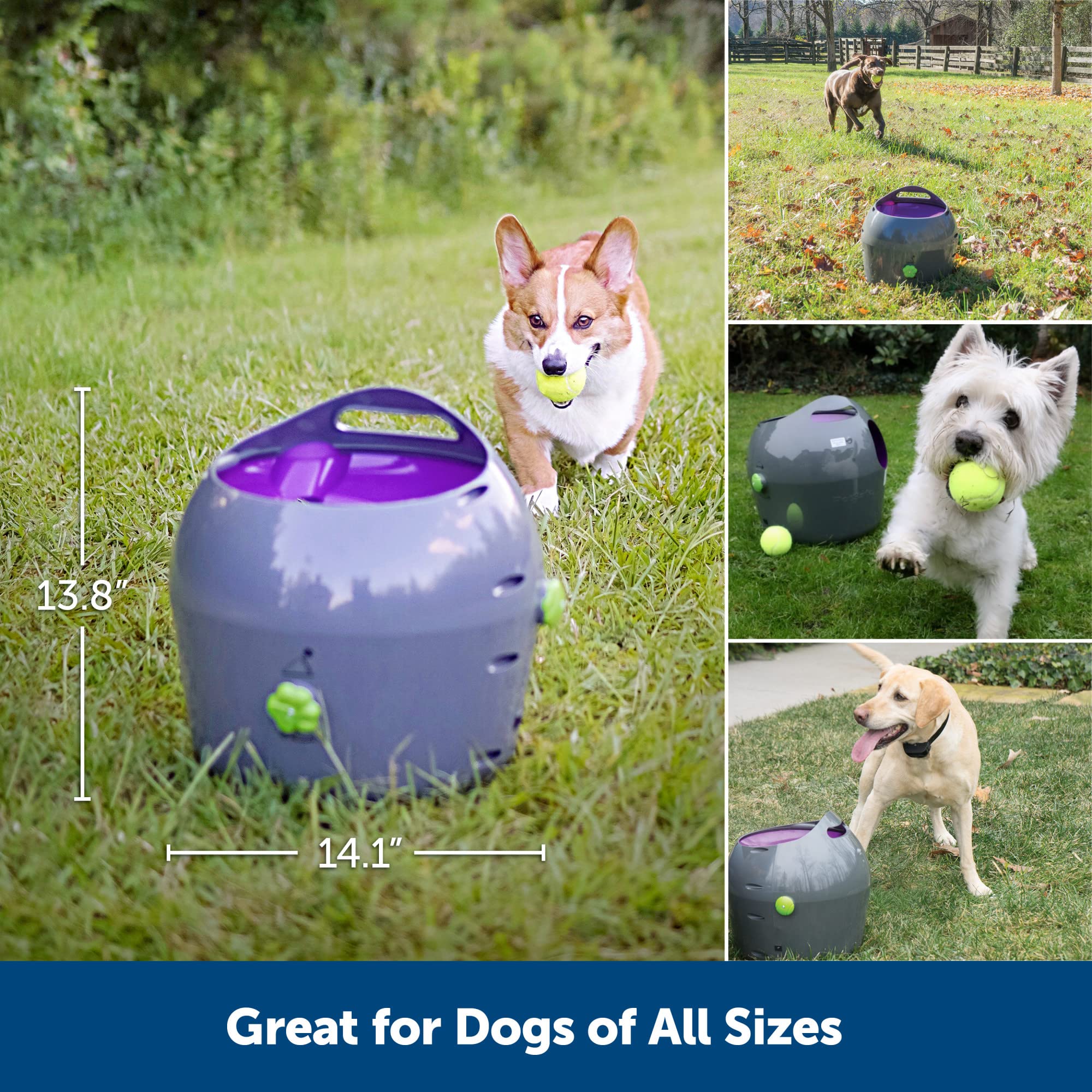 PetSafe Automatic Ball Launcher - Interactive Fetch Game - Hands-Free Fetch Training - Adjustable Range - Includes Tennis Balls - Indoor Outdoor Play - Motion Sensors - Automatic Sleep Mode