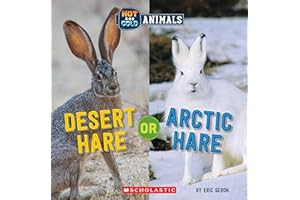 Desert Hare or Arctic Hare (Wild World: Hot and Cold Animals)