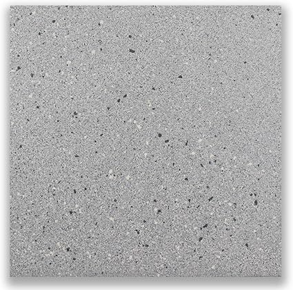 Fliese Feinsteinzeug grau, 30x30 cm, frostsicher, sehr robust, ideal