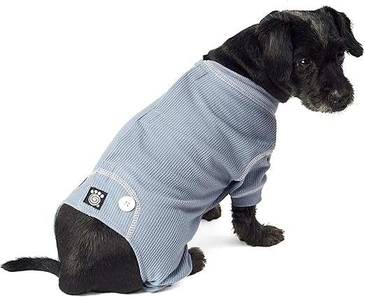 frontline plus pregnant dog