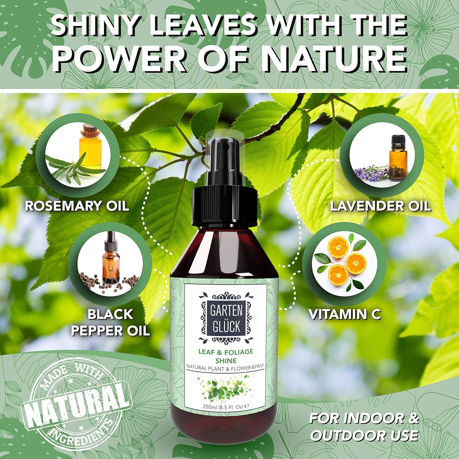 Garten Glück Plant Leaf Shine Spray, Plant Care Mist with Vitamin C & Lavender, Safe Plant Spray for Indoor Plants - Image 4