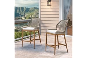 PURPLE LEAF Patio Sunbrella Counter Height Bar Stools 24" H Set of 2 Modern Rattan Bar Chairs Aluminum Stool Outdoor Wicker Barstools with Back and White Cushion for Garden Kitchen Island