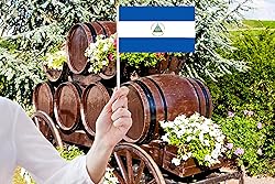 50 Pack Nicaragua Nicaraguan Flags - Small Mini