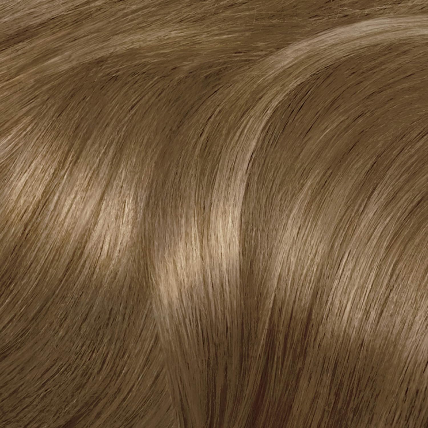 Clairol Nice'n Easy Original Permanent Hair Color, 8A Medium Ash Blonde, 3 Count : Chemical Hair Dyes : Beauty