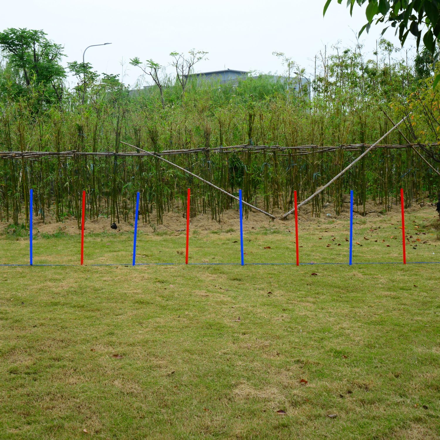 PawHut Pet Agility Training Equipment Dog Play Run Jump Obedience Training Set Adjustable (Poles), Blue and Red - Image 5