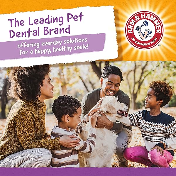 ARM & HAMMER FOR PETS NUBBIES DENTAL TREATS VALUE SIZE – BAKING SODA & CALCIUM DOG DENTAL CHEWS, HELPS SCRUB PLAQUE & TARTAR WHILE CHEWING, PEANUT BUTTER FLAVOR, 139 COUNT, 52.8 OZ