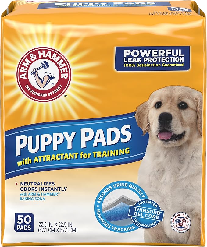arm and hammer xl dog pads