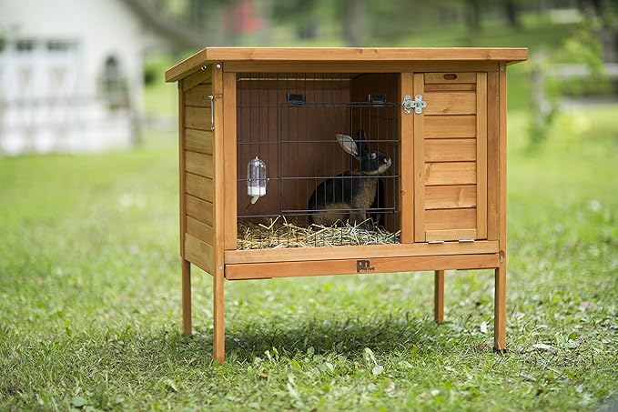 petco rabbit hutch