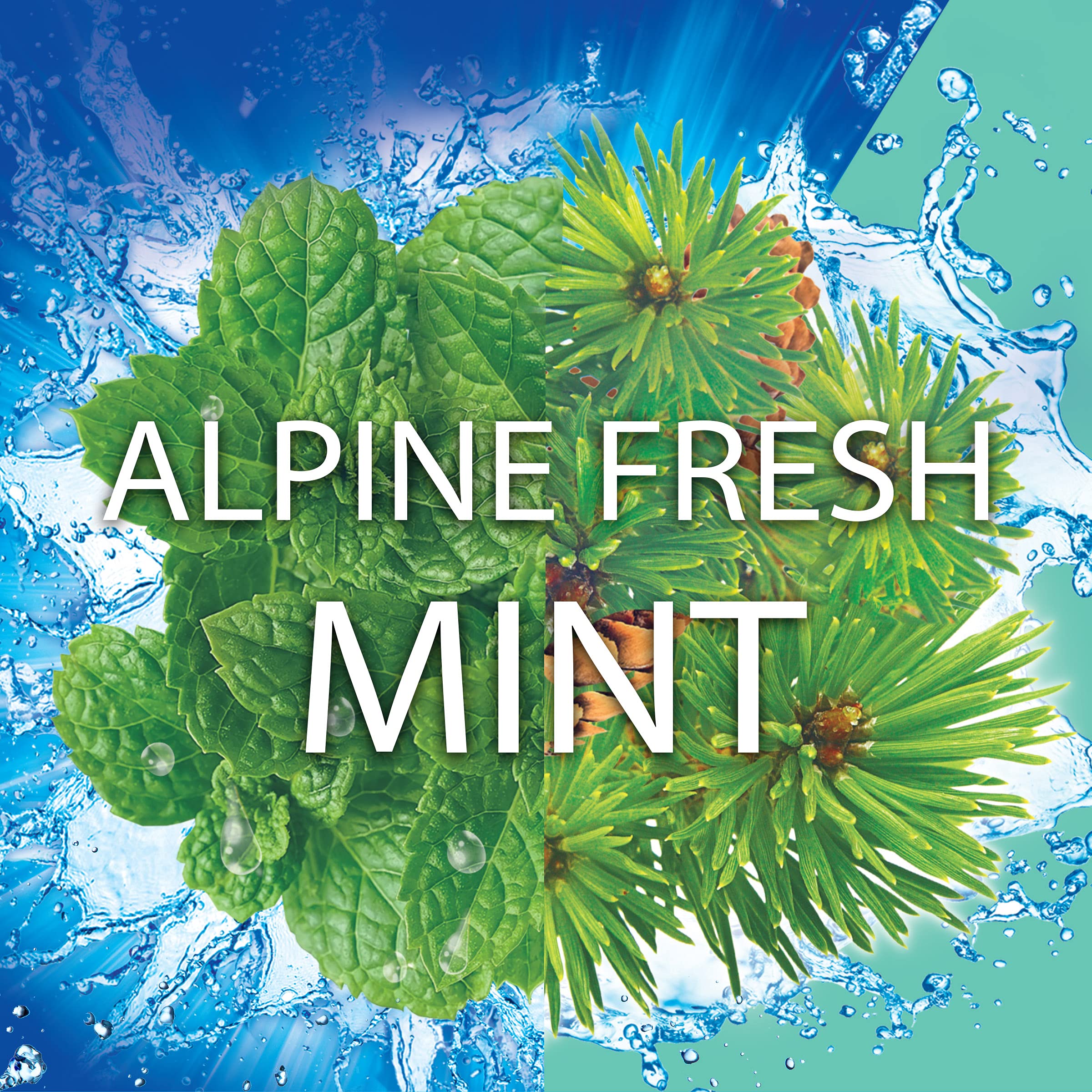 Soft Scrub 4-in-1 Toilet Care with Bleach, Alpine Fresh, 100 Gram