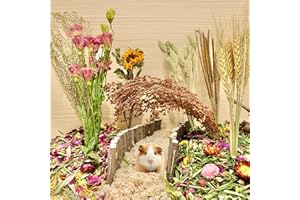Bonnevie Hamster Bedding, Natural Hamster Bedding Sprays and Forage Flowers Herbs Cereal Grain for House Cage Habitat Enclosure Decor- Hamster Chews for Gerbils Mouse Rat Lemming Degus Guinea Pig