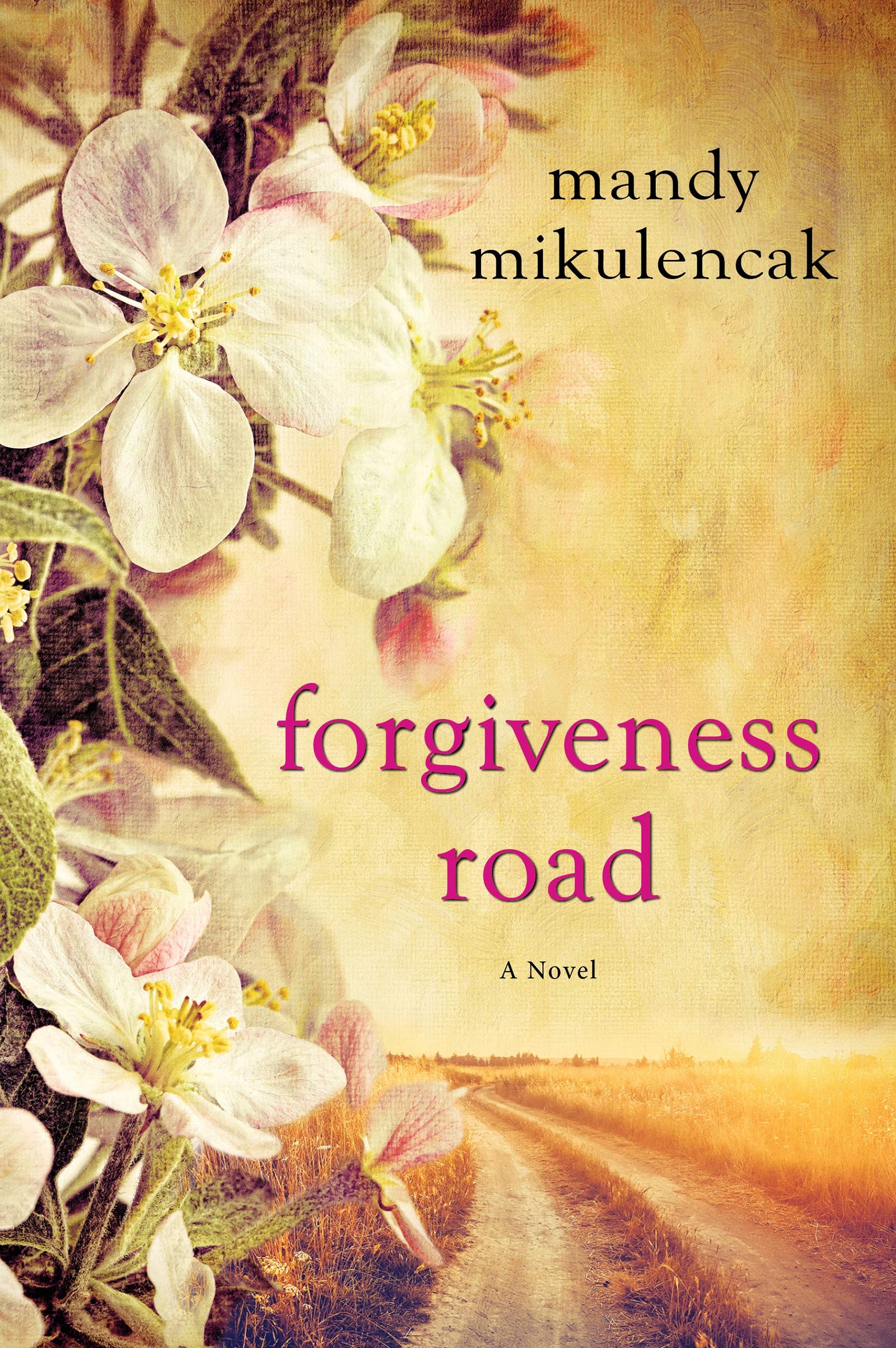 Forgiveness Road A Powerful Novel Of Compelling Historical Fiction Mikulencak Mandy 9781496710062 Amazon Com Books