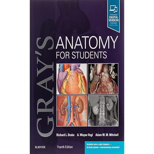 GRAY'S ANATOMY フラッシュカード 第5Gray's Anatomy Gray's Anatomy for Students Flash Cards: Drake PhD, Richard