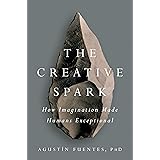 The Creative Spark: How Imagination Made Humans Exceptional