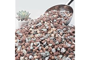 NUPICK 3lb Mix Horticultural Lava Rocks for Plants, 3/8" Colorful Succulent Potting Soil Amendments, Decorative Gravel for Cactus, Bonsai Gritty Rock, Pebbles Pumice for Vase Fillers, Top Dressing
