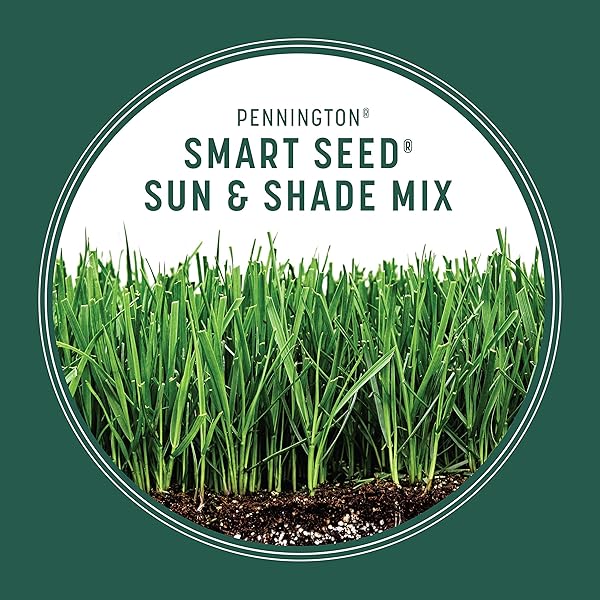 PENNINGTON SMART SEED SUN AND SHADE GRASS MIX 7 LB