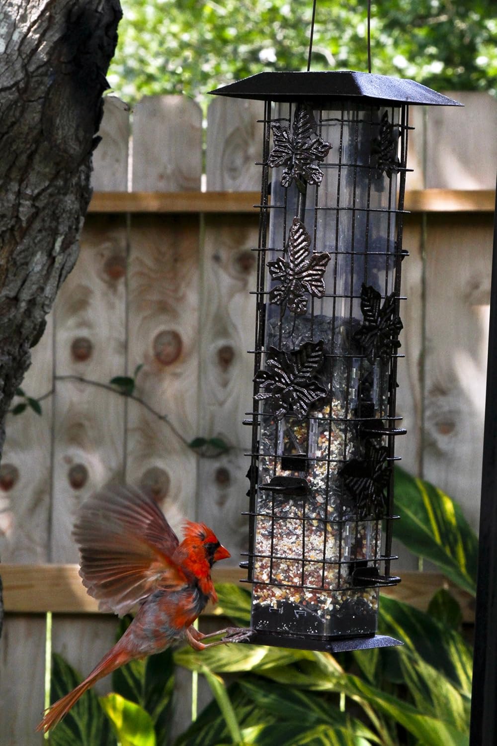 Perky-Pet 336 Squirrel-Be-Gone Wild Bird Feeder – 2 lb : Garden & Outdoor