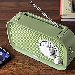 Crosley CR3041A-SG Forte Portable AM/FM Radio with