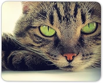 Beau Chat Tapis De Souris Pad Chaton Chats Maman Soeur Cadeau Mignon Ordinateur Pc 06 Amazon Fr High Tech