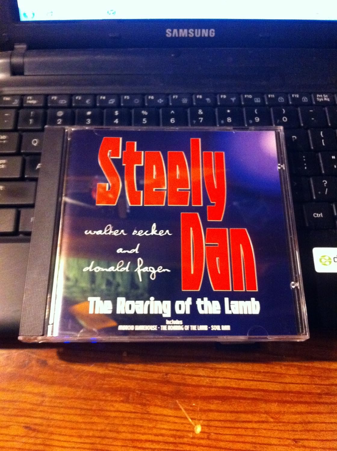 Steely Dan Roaring Of The Lamb