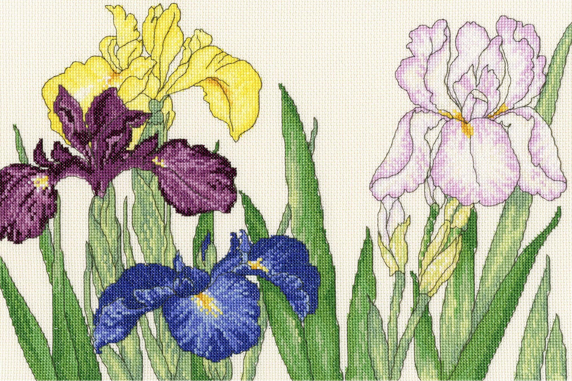 Bothy Threads Cross Stitch Kit - Iris Blooms