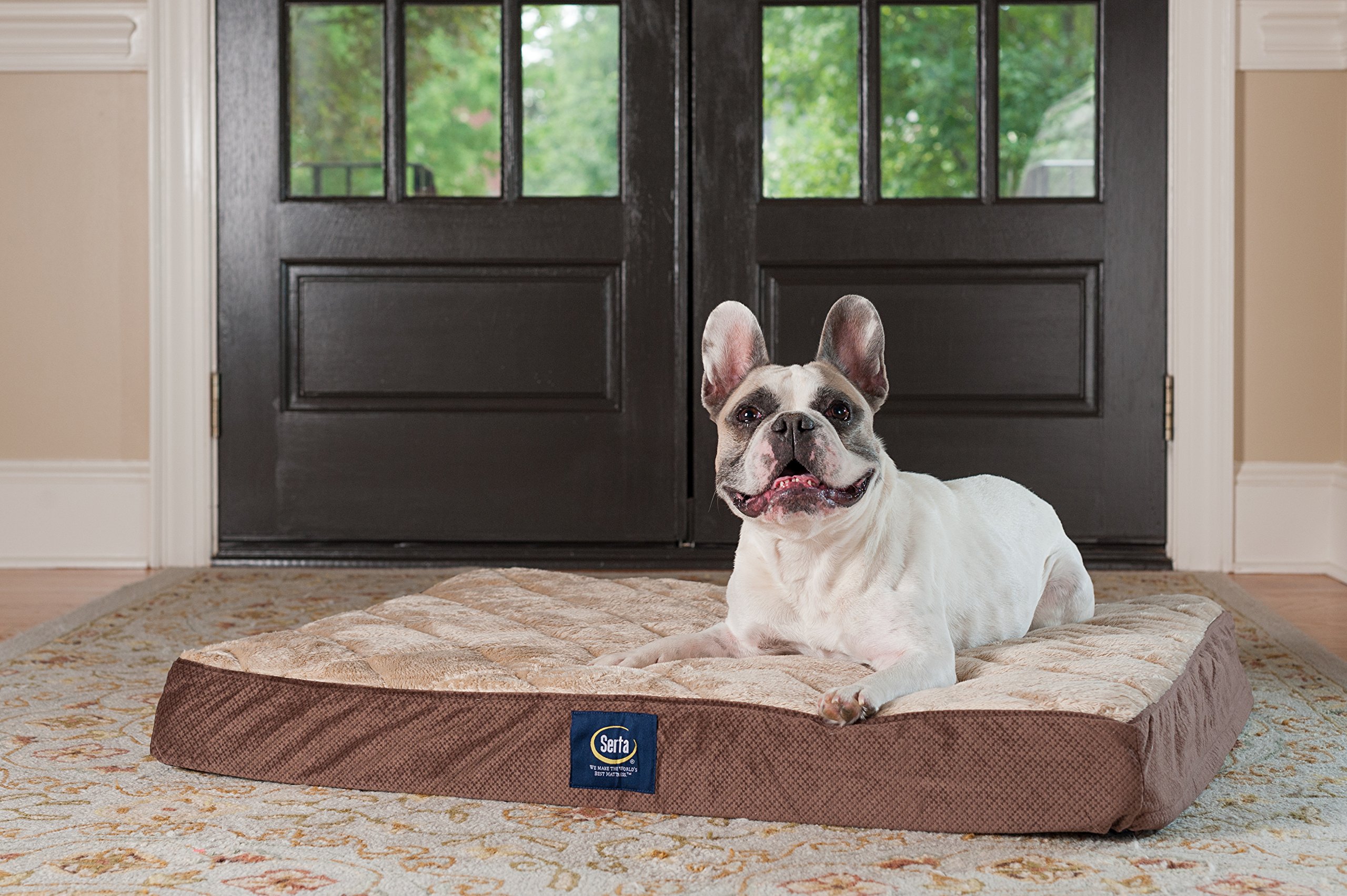 Serta Ortho Quilted Pillowtop Pet Bed, Large, Mocha 69577951788 eBay
