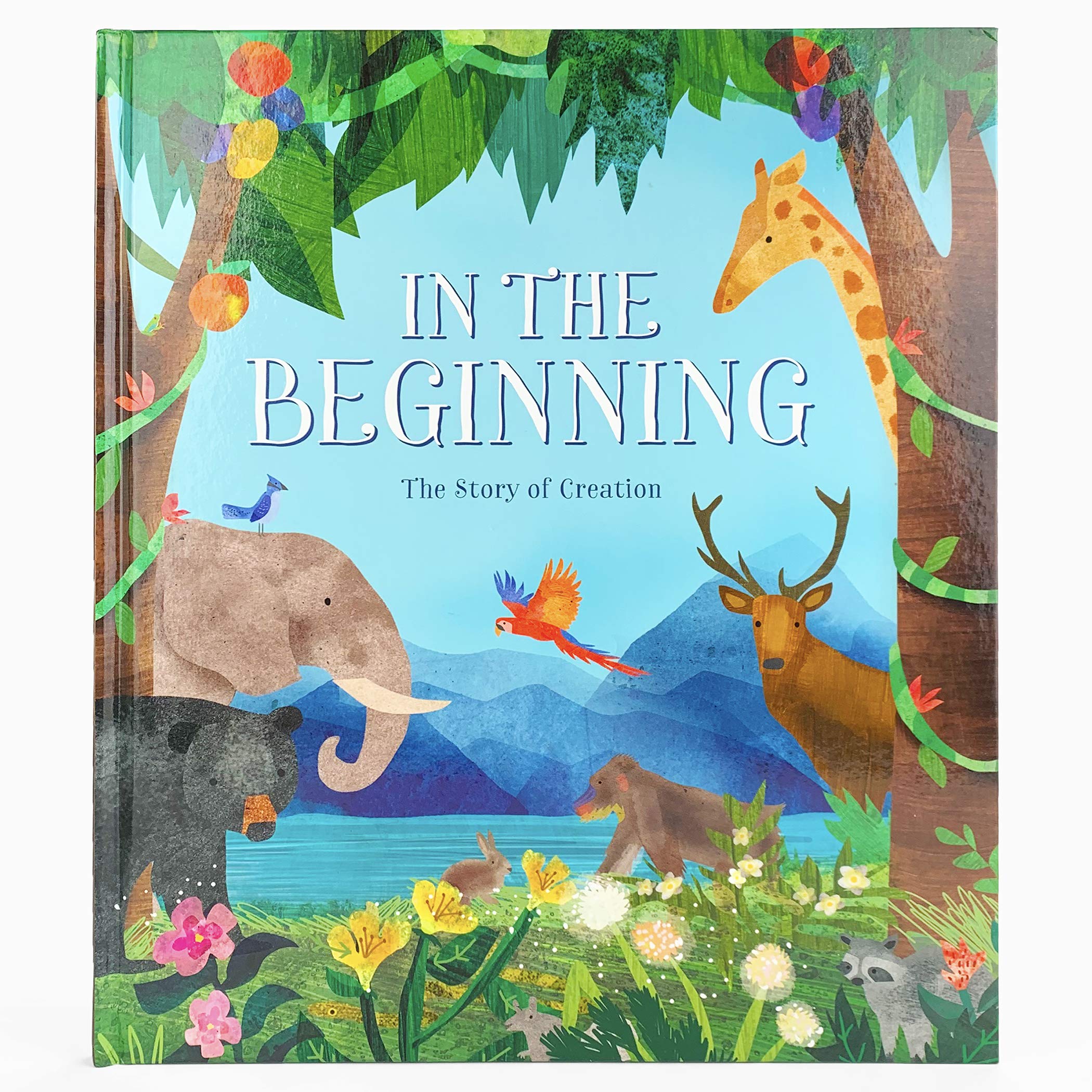 In the Beginning: The Story of Creation
