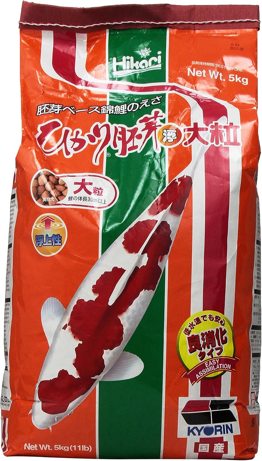 Hikari Usa Inc AHK06482 Wheat Germ 11lb Large