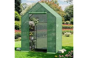 BENASS Greenhouse for Outdoors, Small Greenhouse, Walk-in Greenhouses with 3 Tiers 4 Shelves, PE Cover, Heavy Duty Plant Greenhouses for Garden and Backyard