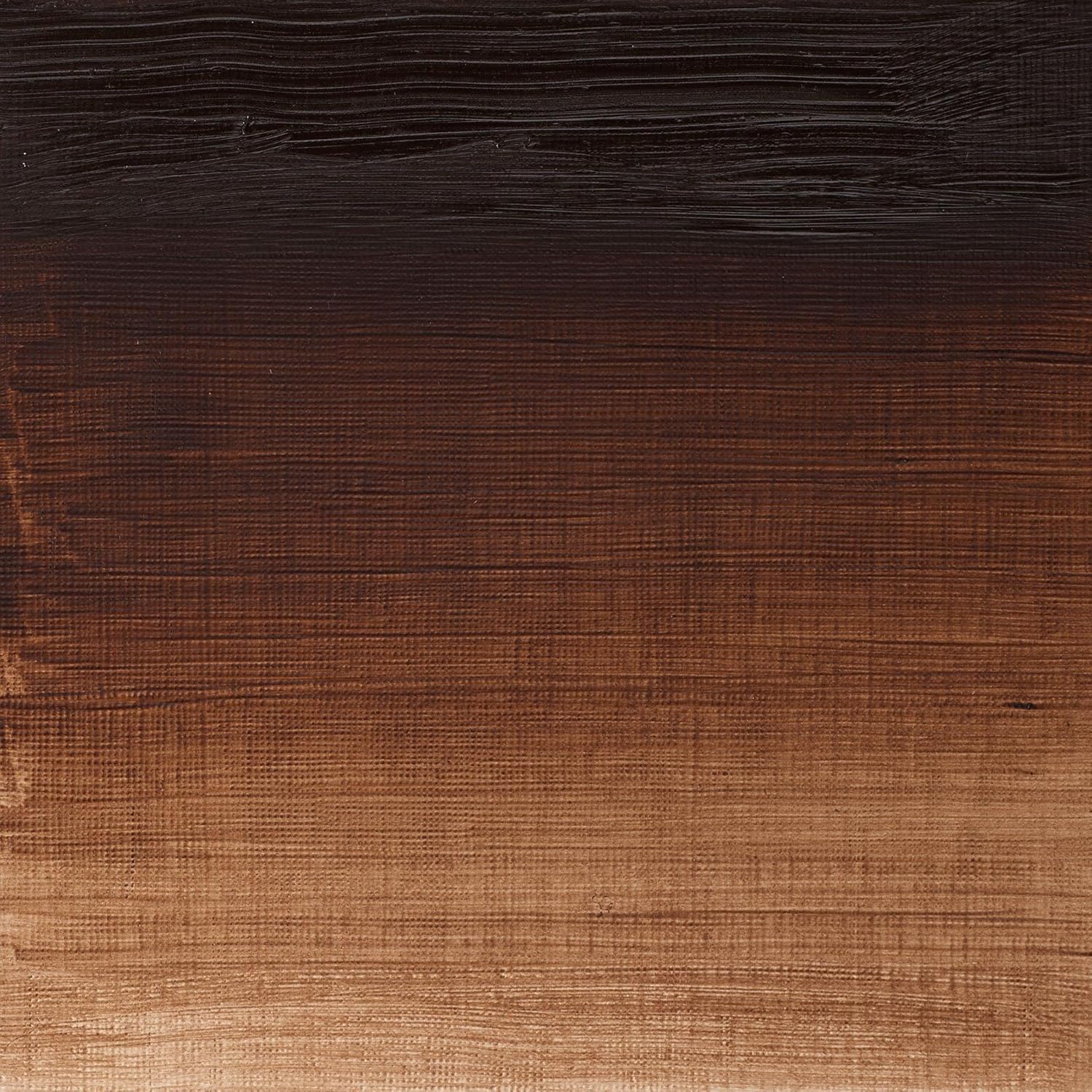 Winsor & Newton Winton Oil Colour Tube, 37 ml - Burnt Umber,1414076 - Image 3