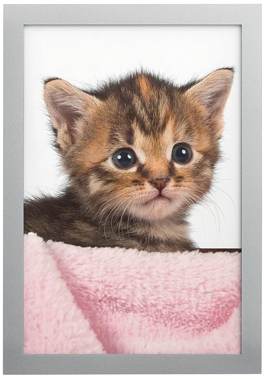 Durable 488523 Selbstklebender Bilderrahmen Duraframe Photo, 10 x 15 cm, silber