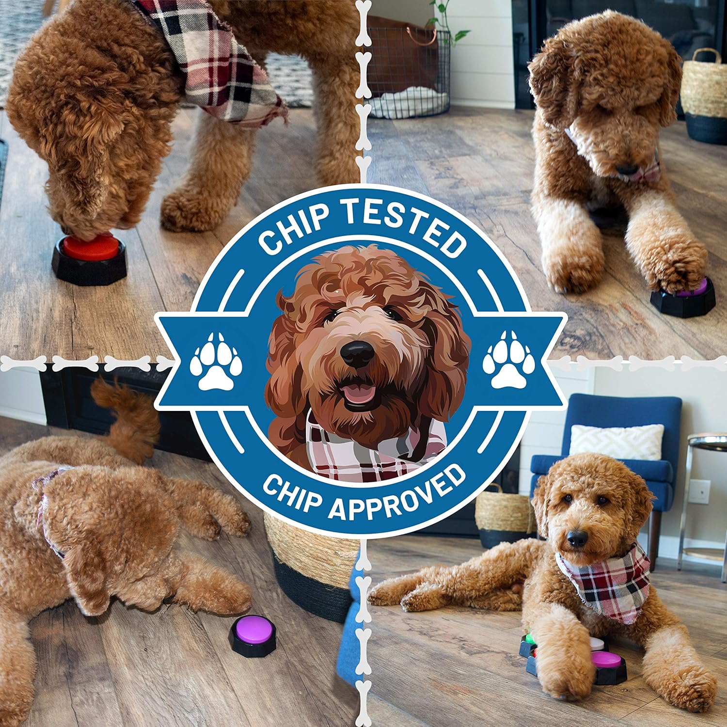 Chip's Pet Stuff Recordable Training Buttons for Dogs - Record Any Sound to Enable Communication with Your Puppy - Set of 4 Can Also Be Used As Game Buzzers, Doggie Doorbells, Speech Aids, & More : Pet Supplies