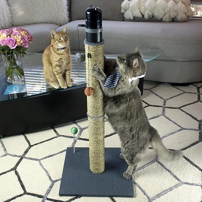 cat craft laser topper toy