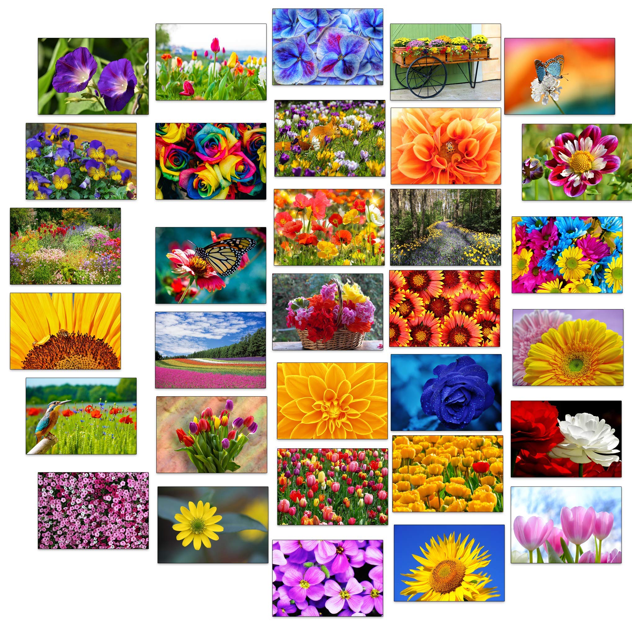 32 flower greeting cards with 32 envelopes flowers and garden.