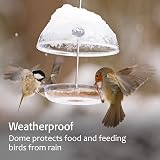 Jacobi Jayne I Love Robins Pearl Feeder Small Garden Bird Feeder view 6