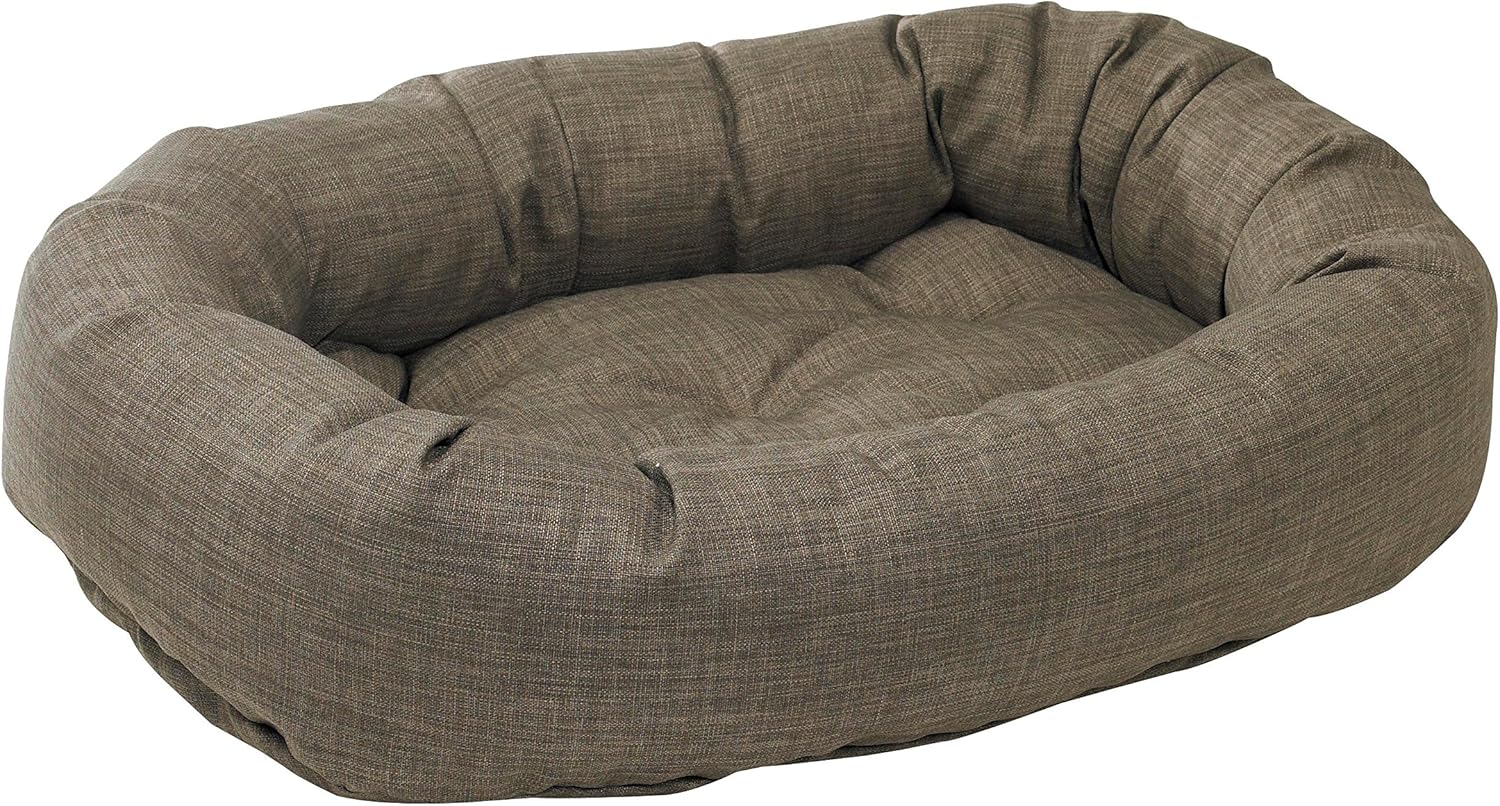 is cabbage bad for dogs