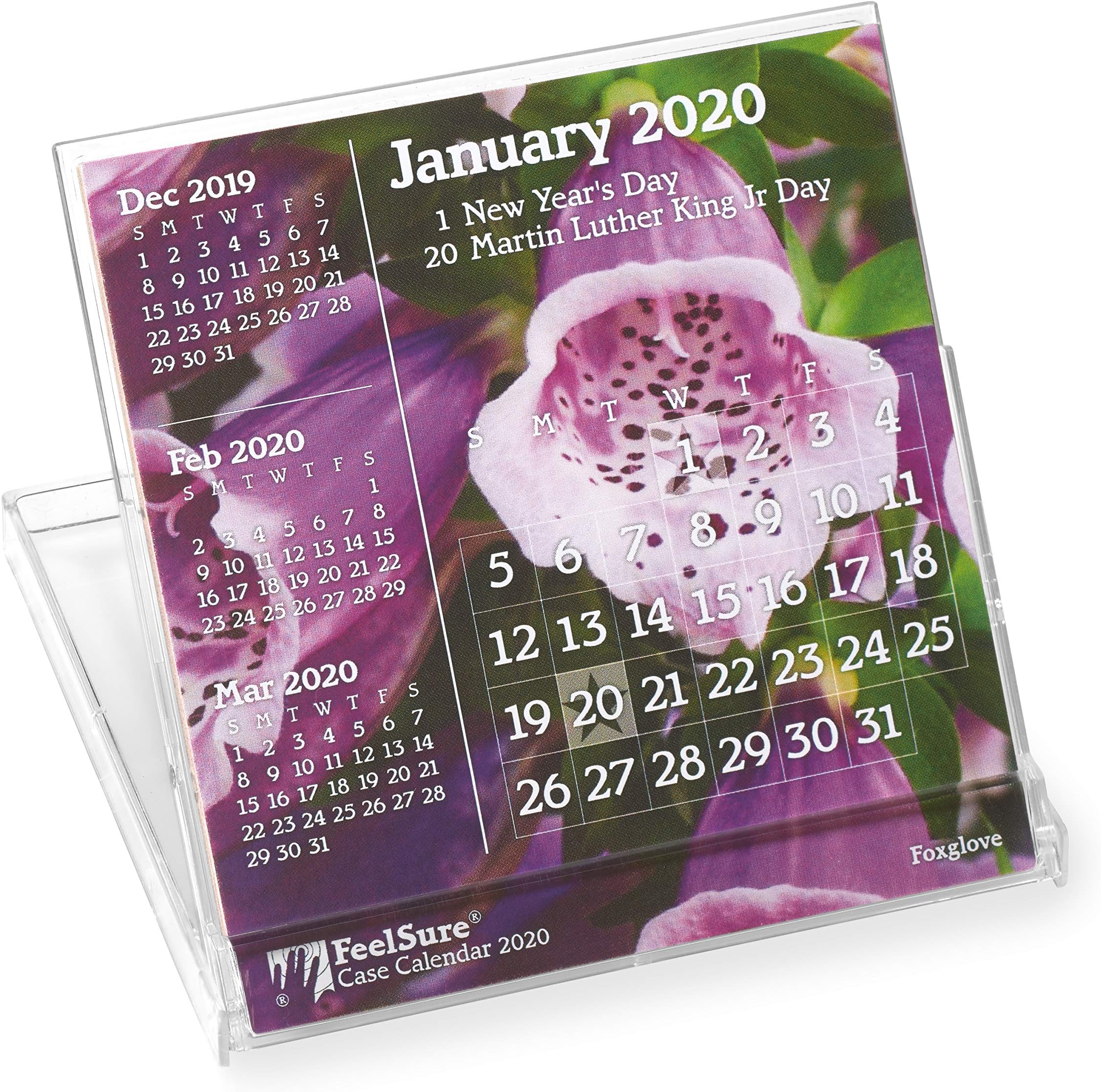 2020 Mini Desk Calendar - Flower and Plant Photography with Holidays - in Compact, Stand-Up Floppy-Disk 4x4 Jewel Case